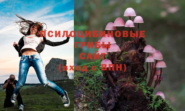 МДПВ Беломорск